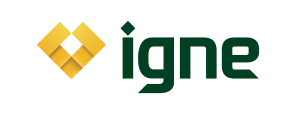 Igne logo